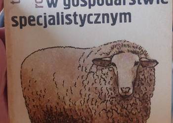 Chów owiec w gospodarstwie specjalistycznym – Józef Tołkanowicz | PWRiL Rol
