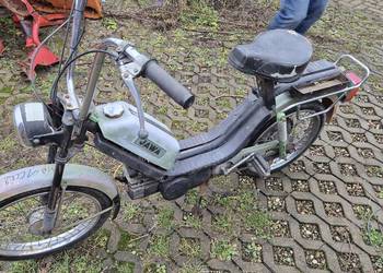 Jaea Babetta zarejestrowana