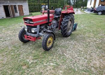 Massey Ferguson 135 + mulczer