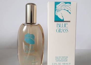 Blue Grass Elisabeth Arden 100 ml
