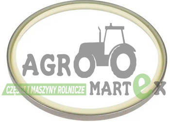 3713929M1 USZCZELNIACZ AGCO