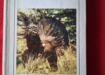 1000 Słow o łowiectwie