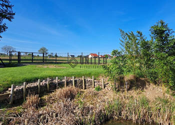 Działki w Jagoszycach niedaleko Prusic