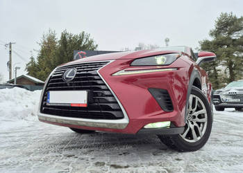 Lexus NX Bezwypadkowy I (2014-2021)