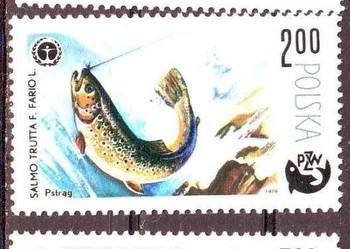 Zn. Fi 2470, 4, 6  (*)  1979