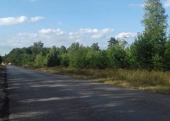 Sprzedam działkę przemysłową 17500 m2