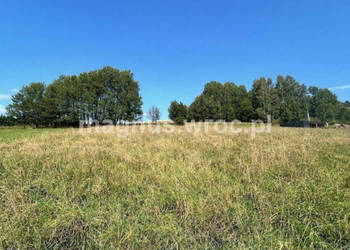 Widokowa działka budowlana na lekkim stoku