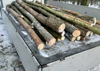 stemple budowlane sosna