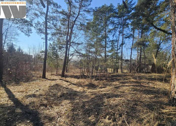 Działka Laski Laski 1500m2