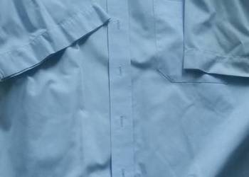 42, 176-182, XL,wólczanka, gentelman, koszula męska z kołnie