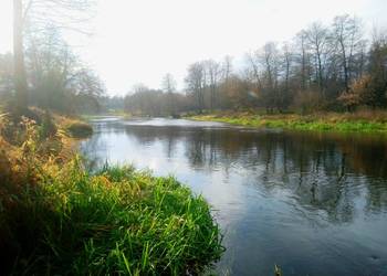 Sprzedam działkę 4828m2 nad Wkrą z prawem zabudowy domem mieszkalnym.