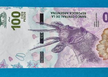 100 argentyńskich pesos 2018-19. (UNC)