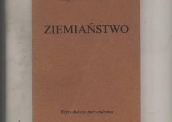 Ziemiaństwo - Koźmian
