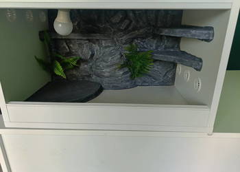 Terrarium drewniane 60x40x40