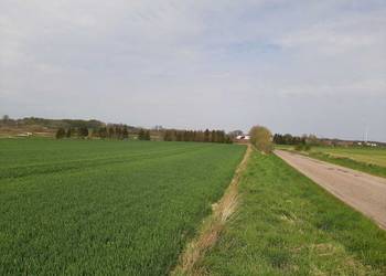 Działka rolna przy strumieni rzeki.