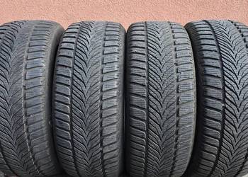 Opony zimowe Diplomat Winter HP 215/50/17