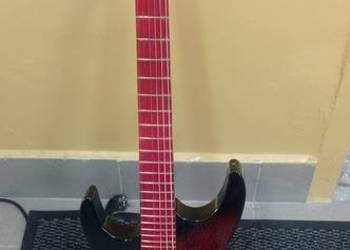 Gitara leworęczna Mayonez