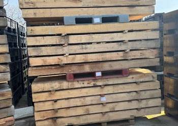 Belki z topoli wymiary 14 x 14 cm długość 240 cm