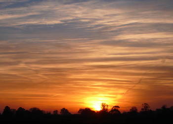Piękna Widokowa Działka Bezpośrednio przy granicy Leśnicy !!!
