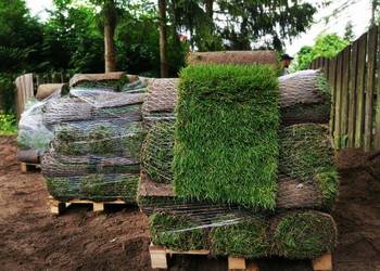 zakładanie trawników z rolki | nawadnianie | żywopłoty