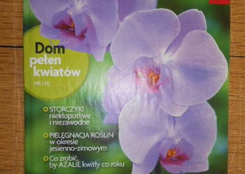 Dom pełen kwiatów - Rośliny kwitnące - nr 1 (4)