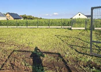 Mulczowanie,koszenie nieużytków działek