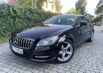 BEZWYPADKOWY SALON POLSKA