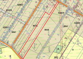 Słopiec Szlachecki | 1,9 ha | działka budowlana | MPZP | prywatny las