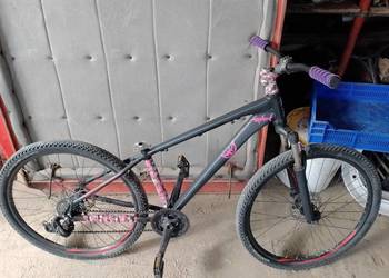 Rower kross hexagon 3.0