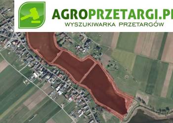 Dzierżawa 14,73 ha stawu