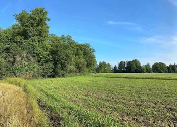 Działka z możliwością zabudowy