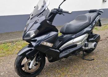 Galera Nexus 250,07r. Zadbany,transport