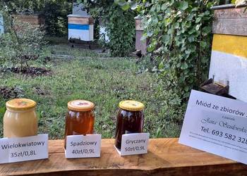 SPRZEDAM MIÓD (Wielokwiatowy, Spadziowy, Gryczany)