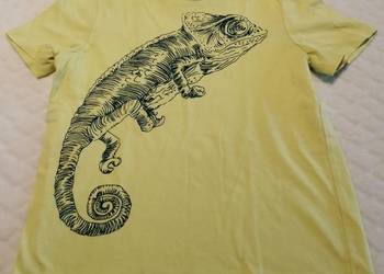 Koszulka, krótki rękaw, T-shirt, żółta, kameleon, 104 Odzież