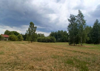 Warszawa/Raszyn/Tarczyn/ Posiadłość 2 ha z budynkami.