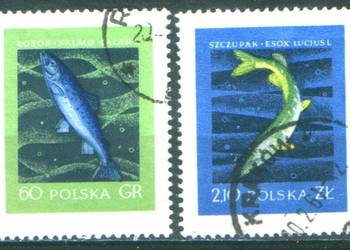 Zn. Fi 907, 8 kas 1958