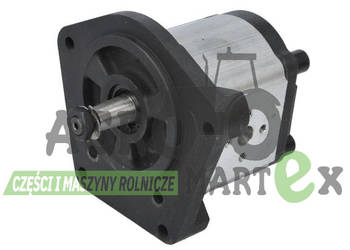 704330R95, 3067220R91 POMPA HYDR CNH