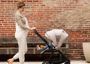 Nuna TRIV Next Generation Cari Bundle