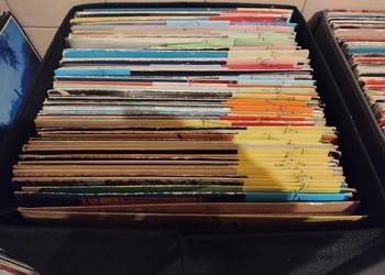 Płyty winylowe Gigantyczny MIX - do wyboru do koloru :)