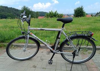 Rower Unibike Trawers M – męski. Rama srebrna 21"