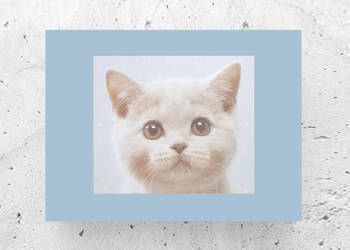 pastelowy obrazek z kotem, kot plakat A4, plakat z kotkiem
