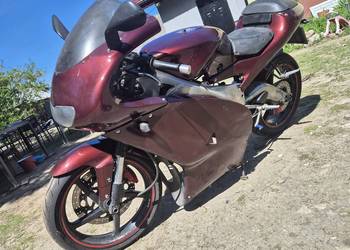 Aprilia rs 125
