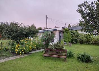 Działka ROD z domkiem 2025 – Aleksandrów Kujawski