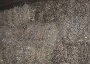 Bale okrągłe Bale okrągłe