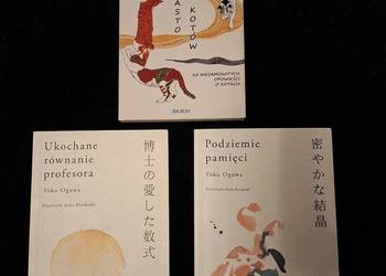 Ukochane równanie profesora, Podziemie pamięci, Miasto kotów