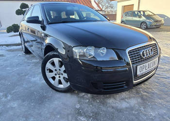 Audi A3 Sportback 1,6Benzyna.Klimatronic 2 str.Tempomat.Alu.Hak.Serwis 8P …