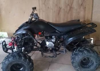 Bashan 250