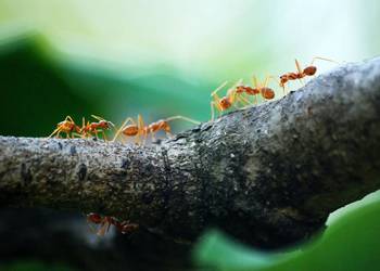 Zapraszam na skuteczne korepetycje z BIOLOGII :)