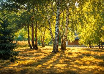 TUCZNO (gm. Pobiedziska) – DZIAŁKA BUDOWLANA gotowa pod inwestycję!