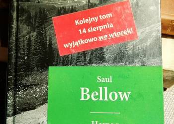 Below Herzog Bródno